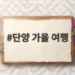 단양 가을 여행
