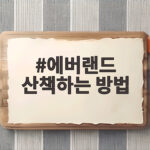 에버랜드 산책하는 방법