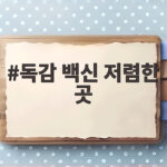 독감 백신 저렴한 곳 올해 무료 대상과 가격 비교 방법 독감 백신 저렴한 곳