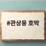 관상용 호박
