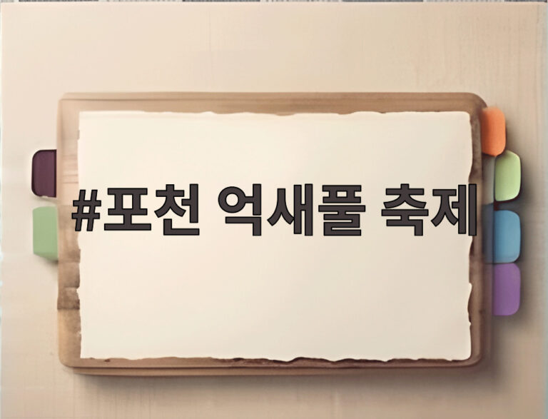 포천 억새풀 축제