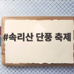 속리산 단풍 축제 보러 갈 때 이것만 알면 됩니다 속리산 단풍 축제