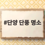 단양 단풍 명소