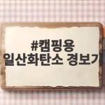 캠핑용 일산화탄소 경보기