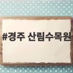 경주 산림수목원 무료로 즐기는 숲속 산책과 사진 명소 경주 산림수목원