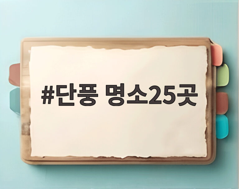 단풍 명소25곳