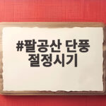 팔공산 단풍 절정시기