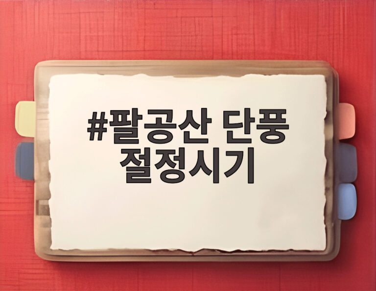 팔공산 단풍 절정시기