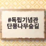 독립기념관 단풍나무숲길