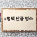 평택 단풍 명소