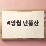 영월 단풍산