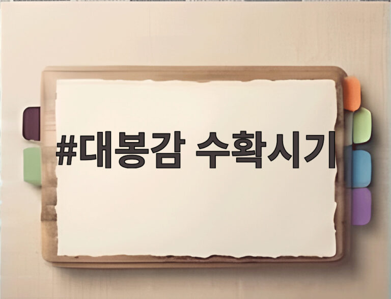 대봉감 수확시기