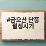 금오산 단풍 절정시기