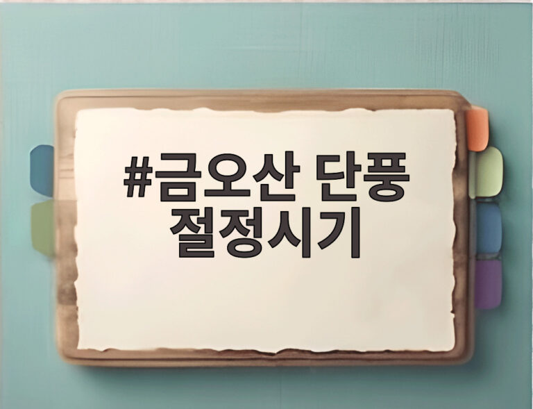 금오산 단풍 절정시기