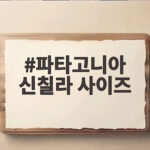 파타고니아 신칠라 사이즈 고민 끝 실측 비교로 확실하게 파타고니아 신칠라 사이즈