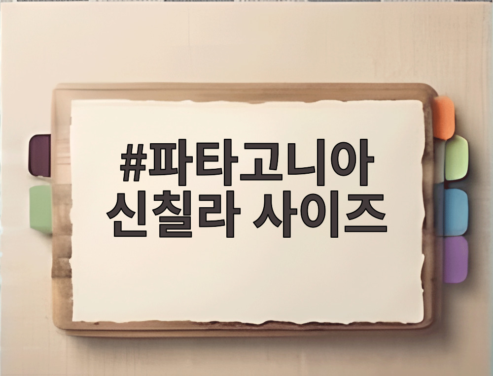 파타고니아 신칠라 사이즈