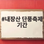 내장산 단풍축제 기간