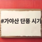 가야산 단풍 시기