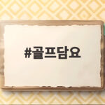 골프담요