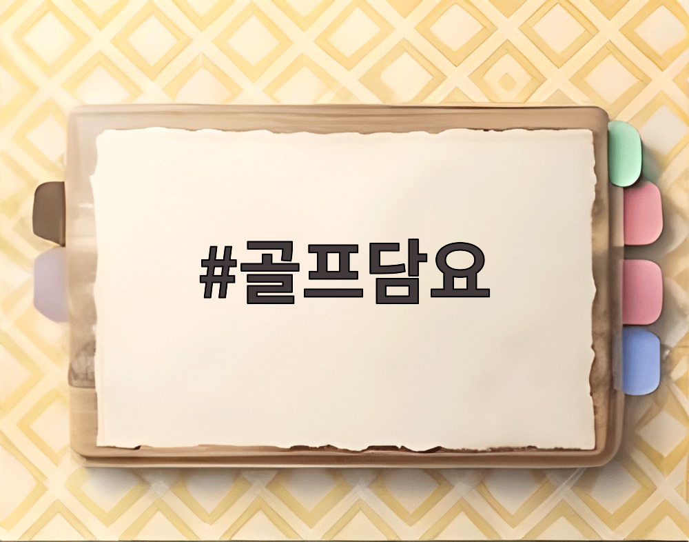 골프담요
