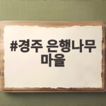 경주 은행나무 마을