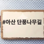 아산 단풍나무길