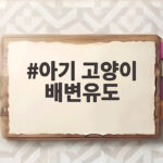 아기 고양이 배변유도 언제까지 해야 할까 방법과 주의사항 알아보기 아기 고양이 배변유도