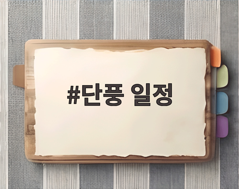 단풍 일정
