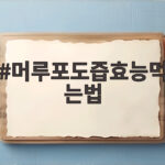 머루포도즙효능먹는법