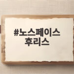 노스페이스 후리스