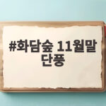 화담숲 11월말 단풍