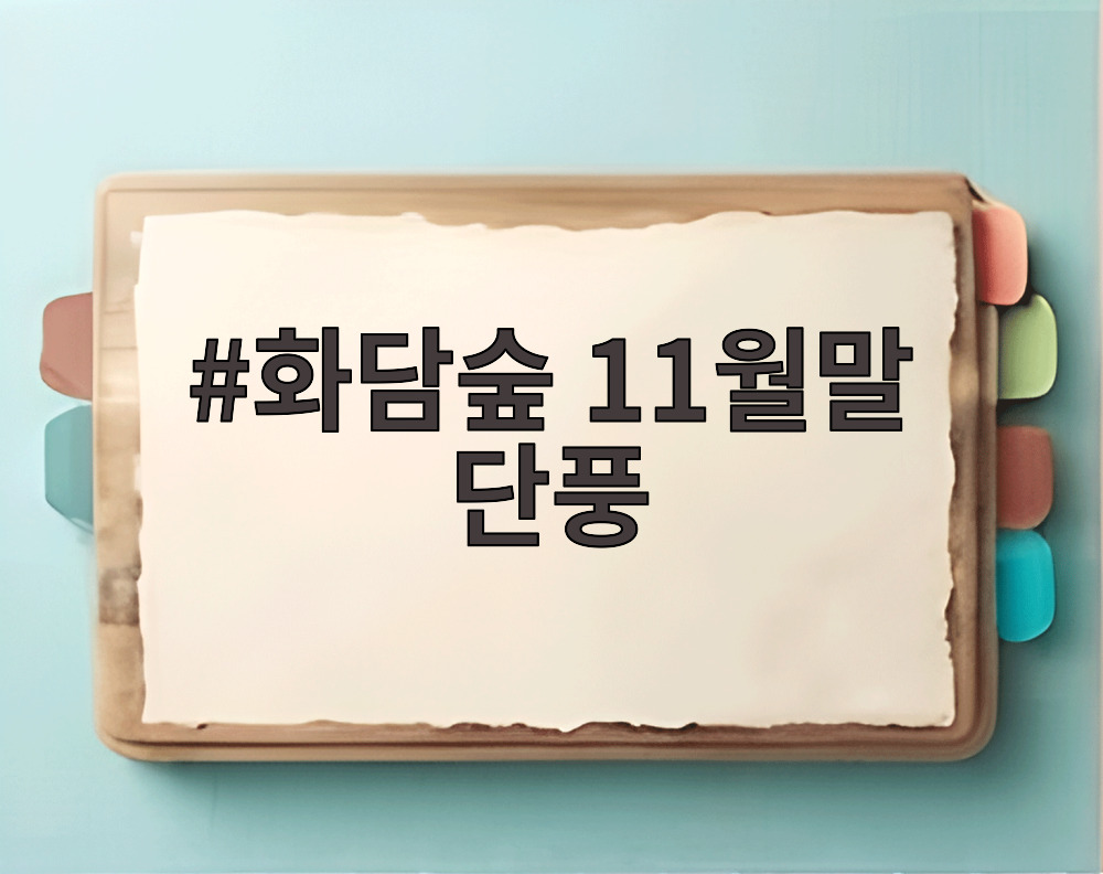 화담숲 11월말 단풍