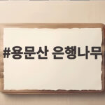 용문산 은행나무