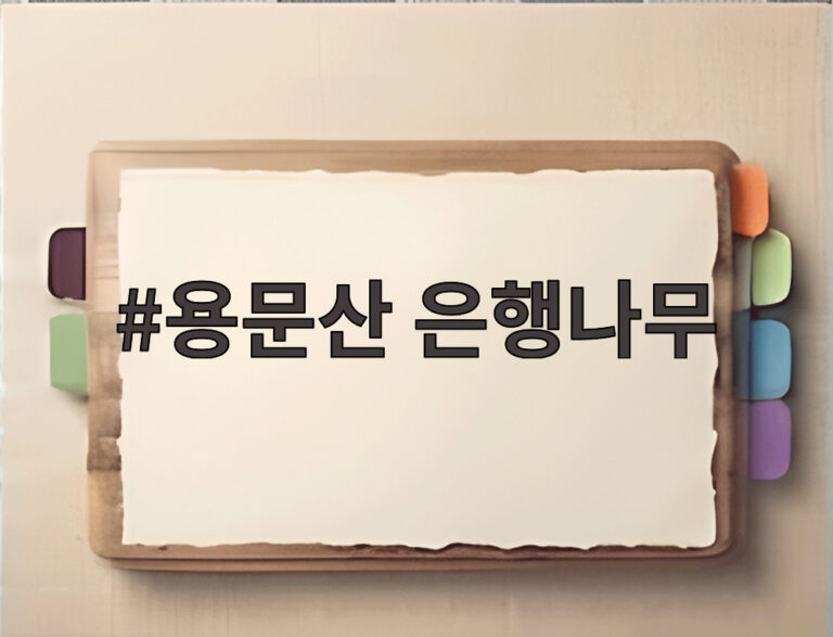 용문산 은행나무