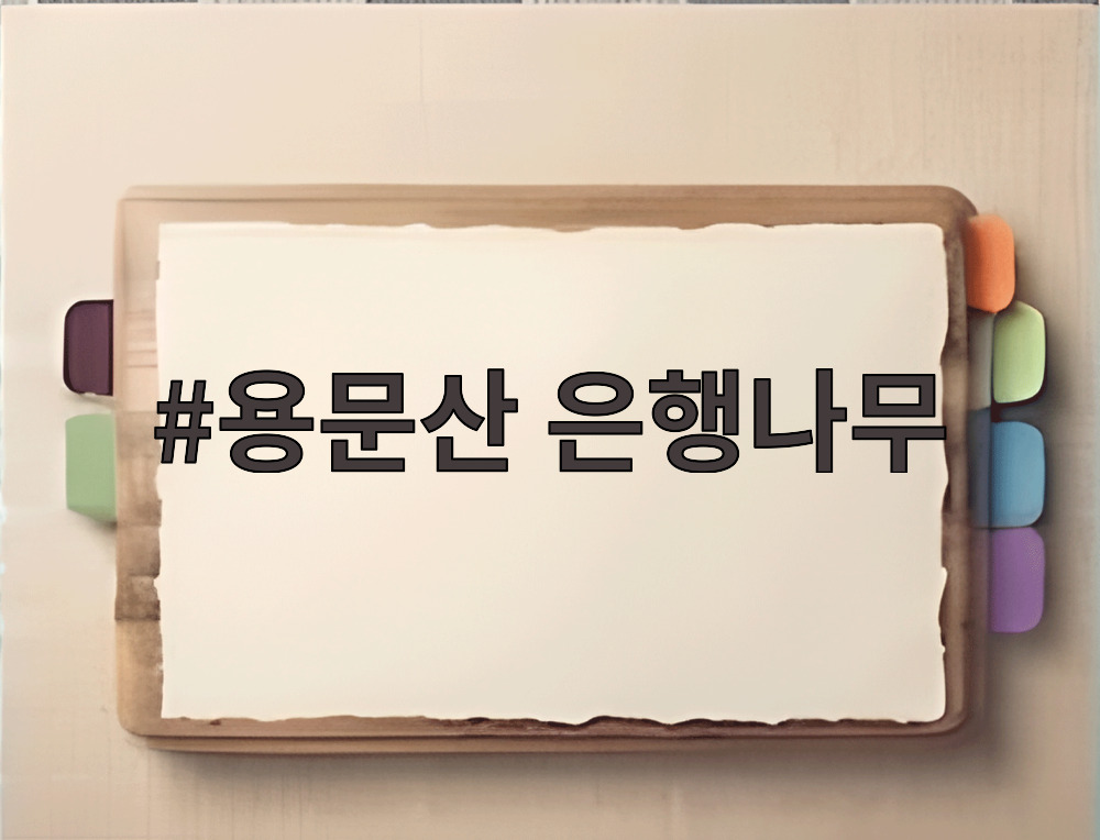 용문산 은행나무