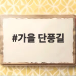 가을 단풍길