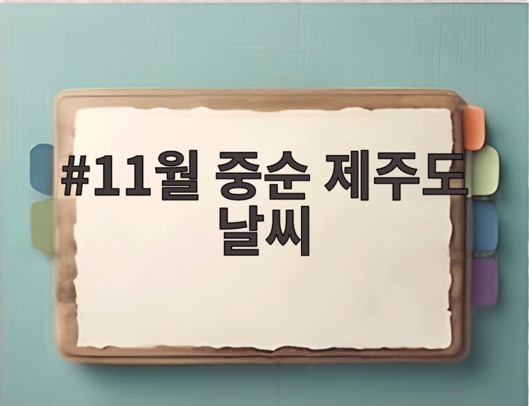11월 중순 제주도 날씨