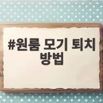 원룸 모기 퇴치 방법