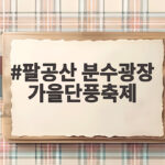 팔공산 분수광장 가을단풍축제