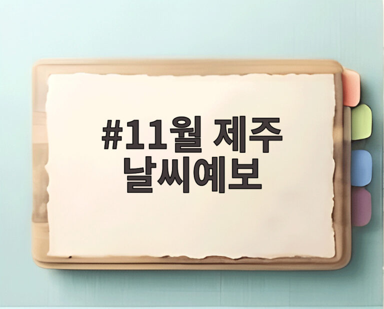 11월 제주 날씨예보