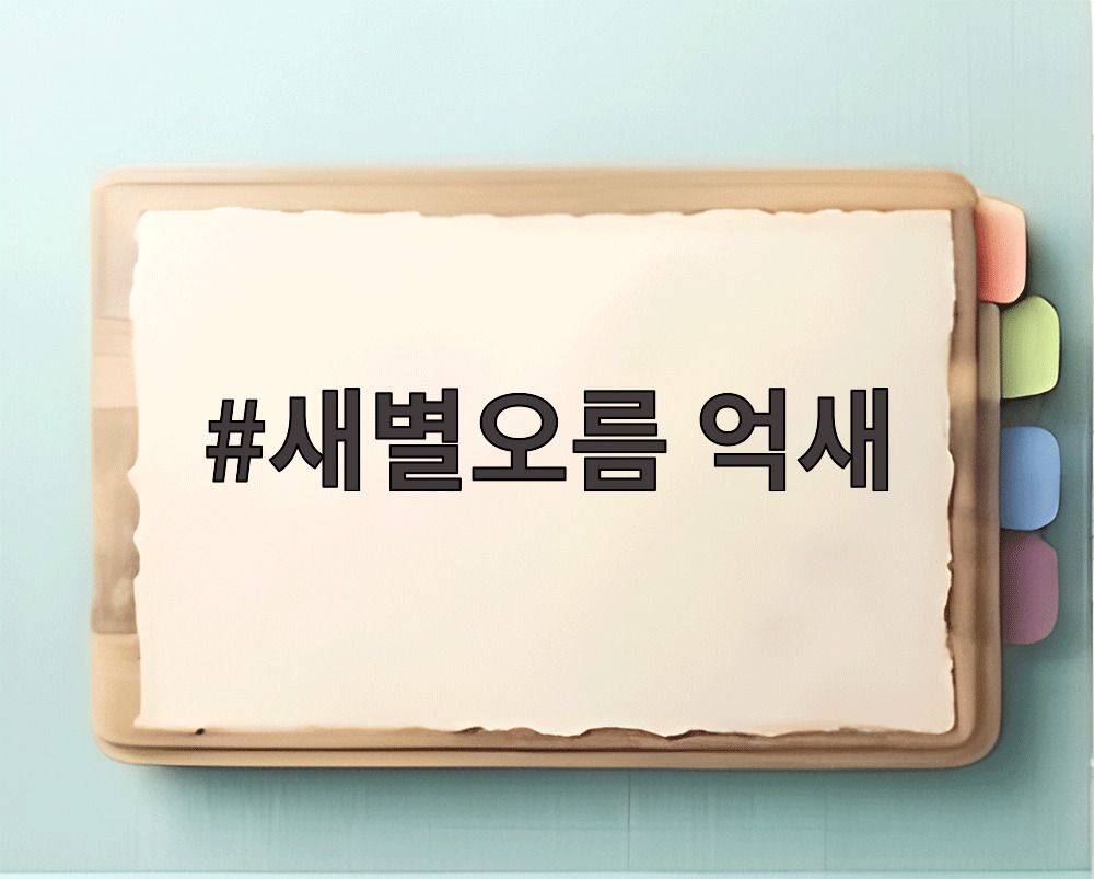 새별오름 억새