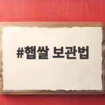 햅쌀 보관법 이것만 지키면 촉촉한 밥맛이 오래갑니다 햅쌀 보관법