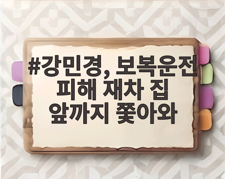 강민경, 보복운전 피해 재차 집 앞까지 쫓아와