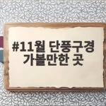11월 단풍구경 가볼만한 곳 절정 시기와 베스트 여행지 추천 11월 단풍구경 가볼만한 곳