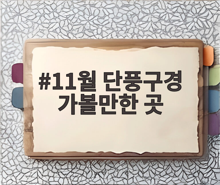 11월 단풍구경 가볼만한 곳