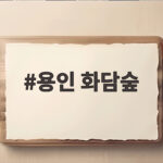 용인 화담숲 가을 단풍 예매와 모노레일 타는 법 총정리 용인 화담숲