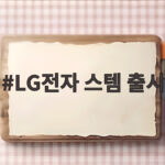 LG전자 스템 출시