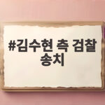 김수현 측 검찰 송치