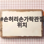 손허리손가락관절 위치