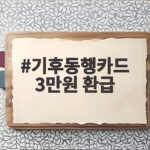 기후동행카드 3만원 환급